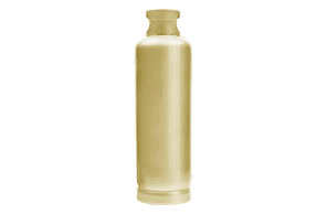 GLP P45